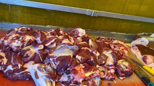  Bağcılar uygun fiyatlı adak kurban satışı ve kesim hizmeti