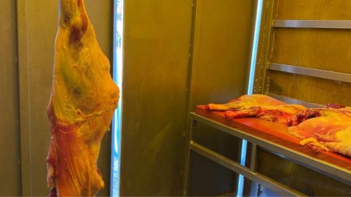  Büyükçekmece uygun fiyatlı adak kurban satışı ve kesim hizmeti