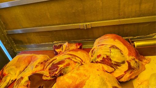  Zeytinburnu adak kurban kesimi sonrası etlerin mobil araçta hijyenik şekilde hazırlanması